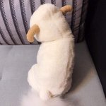 [댓글부탁해] 얘들아 돼지코팩 이마에다 써도될까??