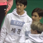 [EXO] 아 나 이영상 다시보는데 왤케 귀엽냐