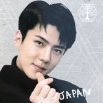 [세훈] 일본 <b>토레</b>카 실사