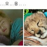 드디어 방학했다 시 발 ㄱㅇㄷ