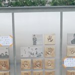 [방탄소년단] 종합운동장에 애들 이거 다들봄?개신기