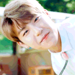 [박우진] ㅇㄴㅇㄱ <b>시작</b> <b>전</b> 요+하+이 짤털❤️