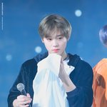 [박지훈] <b>예민</b>한 팽그윙