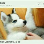 왜 아이돌 좋아한다고 하면