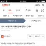 아이폰 갤럭시 카메라 논란 <b>종결</b>