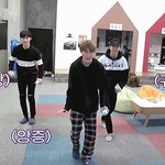 [드루와] 얘들아 나 줌바댄스 개잘춤
