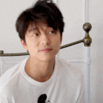 노네는 좋아하는 연예인 공통점 있어? 모아보니까 신기하게 보여