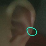 [드루와] 귓바퀴 중간 <b>옆쪽</b> 못뚫어?