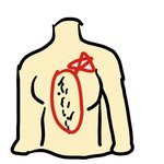 [19] (+)도와줘 ㅜㅜ너네도 털 여기에나니..?