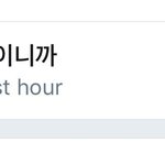 [EXO] <b>실총</b>하고 알티해