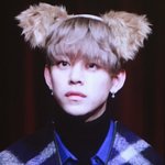 [BAP] 댛니 강아지머리띠