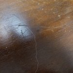 ㅅ1발 나이거 흰머리냐?