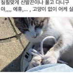 [드루와] 나만 먹방 ㅈㄴ 별로냐