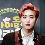 [EXO] 짤 자랑하는 시간이냐 김준면 리즈 던지고 감