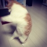 [ㅋㅋㅋㅋㅋ] 아직 크리스마스 <b>이브</b> 아니냐?