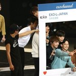 [EXO] 엑소 뽀시래기 짤 털이