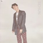 [세훈] 2018 EXO SEASON'S GREETINGS <b>스캔</b>본1