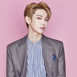 내 최애 공통점 멀까