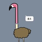 [댓글부탁해] 나 크리스마스때 뭐입을까 급해ㅠㅜㅠ