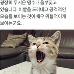 동네 <b>슈퍼</b> 골뱅이 얼마<b>정도</b> 함 ㅃㄹㅃㄹ
