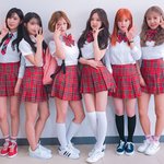 큰일났다...에이핑크