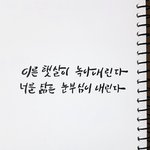 [EXO] 중계중에 미안한데 나 캘리 평가좀