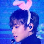 [박지훈] 잘생긴 토깽이 &amp; 볼콕 윙<b>돌프</b>