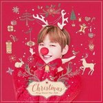 [강다니엘] 그 뭐지 부산콘서트중에서