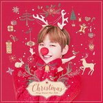 [강다니엘] 우리 녤돌프가 이렇게 자랐어요