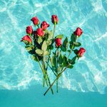 좋아하는 <b>꽃말</b> 쓰고가줭