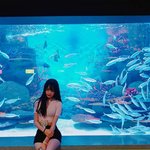 대한민국<b>위인</b>들 전부경상돈데