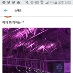 현시각 <b>민폐</b>갑인 팬덤