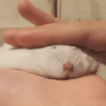 [댓글부탁해] 씨빠크리스<b>마슨</b>데