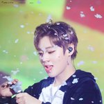 [박지훈] 눈 <b>뿌리</b>는 팽그윙