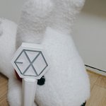 [EXO] 안뇽 엑톡친구들 난 고민을 들어주는 인형이야