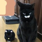 얘들아 민감피부가 <b>쌍</b><b>액</b>하면 많이 안 좋을까?