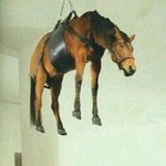 [드루와] 트위터리안 들어와바