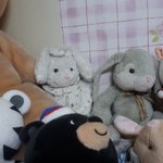 [EXO] 울<b>집</b>엔토깡이<b>두</b>마리잇다