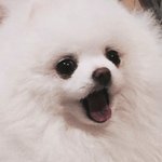이 추운날씨에도 <b>검스</b>말고 살스 신는 애들아