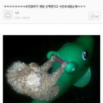 오늘 학교 <b>안</b> <b>간</b> 애들아