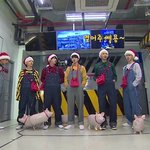 [방탄소년단] 돼<b>돌프</b>들고 제이킬을 무서워 하던애들이