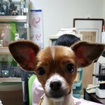 예쁘지 않은 외모라서 였을까요..?