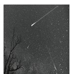 [EXO] 우왕 이거뭐<b>얌</b> 백현이말 중국어 번역한거임?