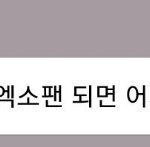 [EXO] 내친구들 ㅈㄴ스밍해줘
