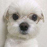 [드루와] +)혐주의)내기준 최고귀짤임