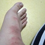 [꼭조언부탁] 사람들 들어와서 조언좀요;;;