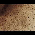 [EXO] 니네 이거봄?