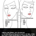 [드루와] 이짤 신뢰되는 짤이야?헷갈려...
