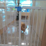 여자들 <b>철벽</b>칠때 어떻게 쳐요?