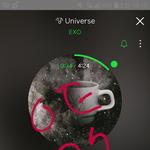 [EXO] 여기서 스밍하라해봤자임